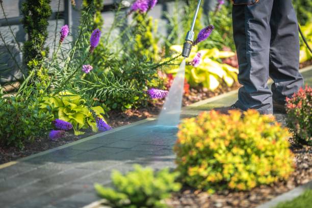 Best Driveway Pressure Washing  in Kings Bay Base, GA